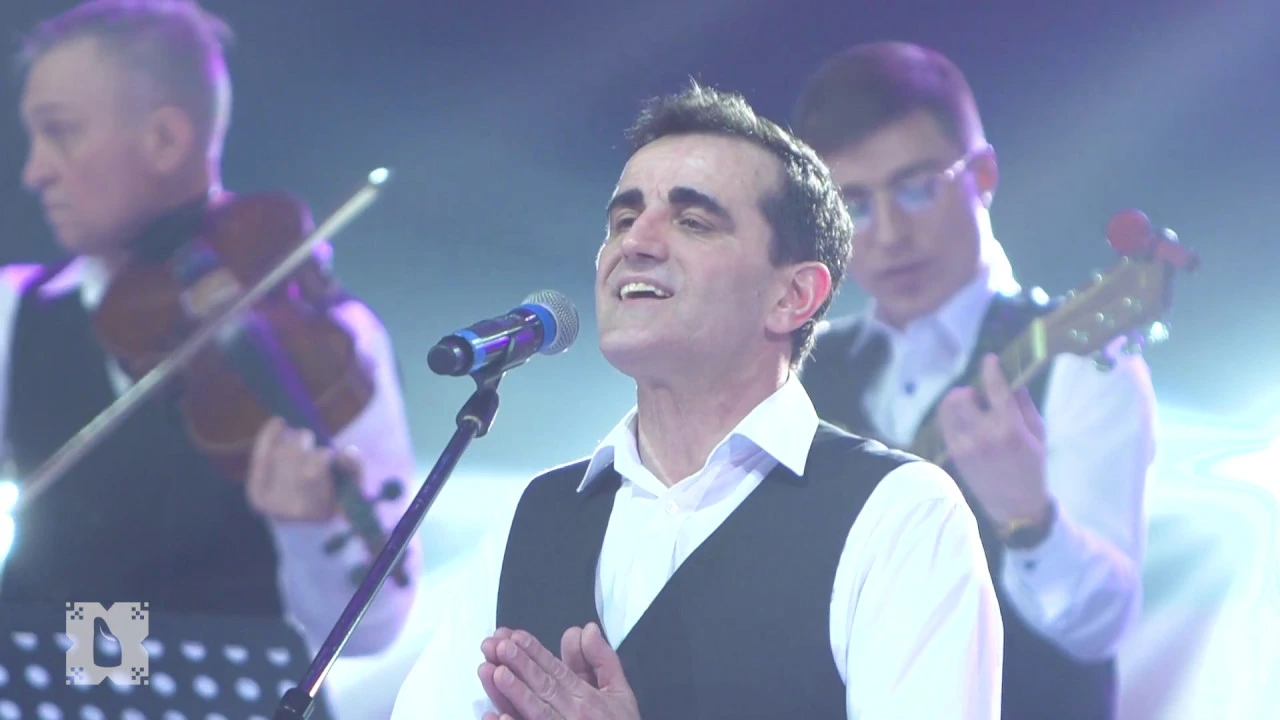 Ansamblul Plaiesii ALTFEL - Limba romana