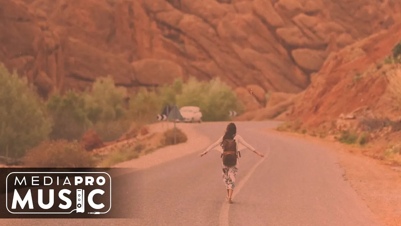 IRIS x Nelu Dumitrescu - Trecator (Original Radio Edit)