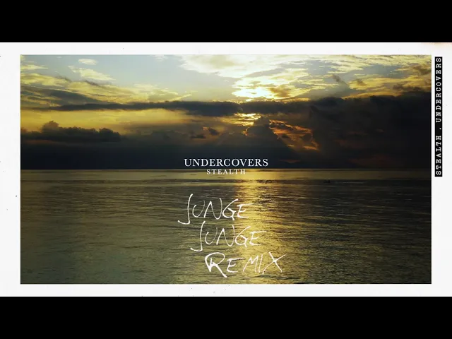 Stealth - Undercovers (Junge Junge Remix)