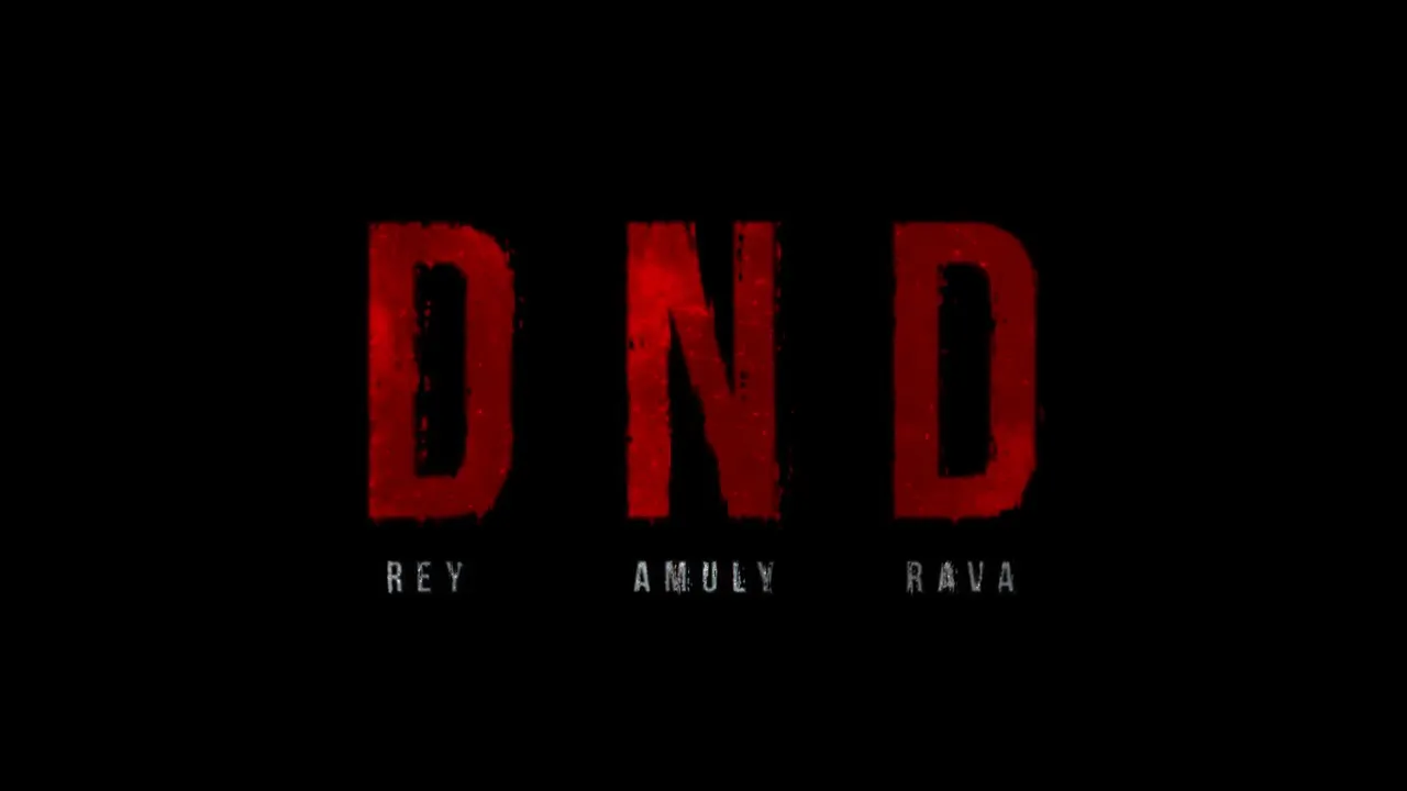 Rey x Amuly x RAVA - DND (Original Radio Edit)