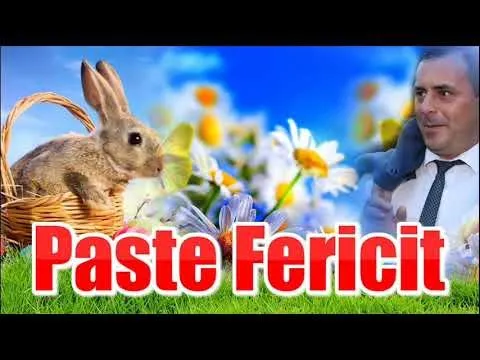 NOU 2019 ETNO - COLAJ MUZICA DE PETRECERE - SORINEL DE LA PLOPENI - COLAJ DE PASTE 2019