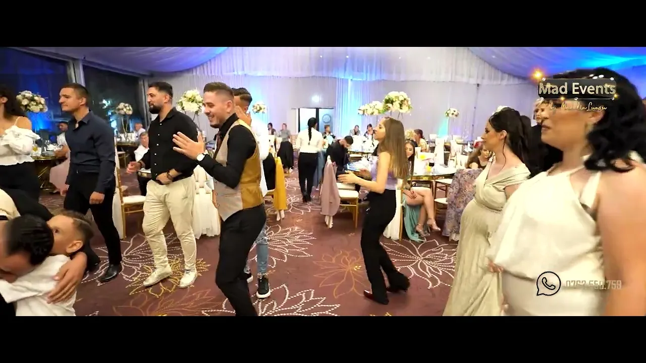 Leo de la Kuweit - Indiana lui Kuweit (Live)