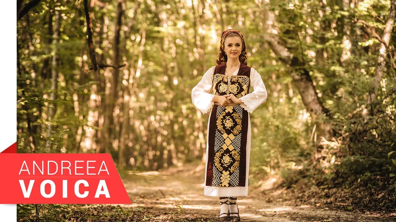 Andreea Voica - Bagita dragostea mea