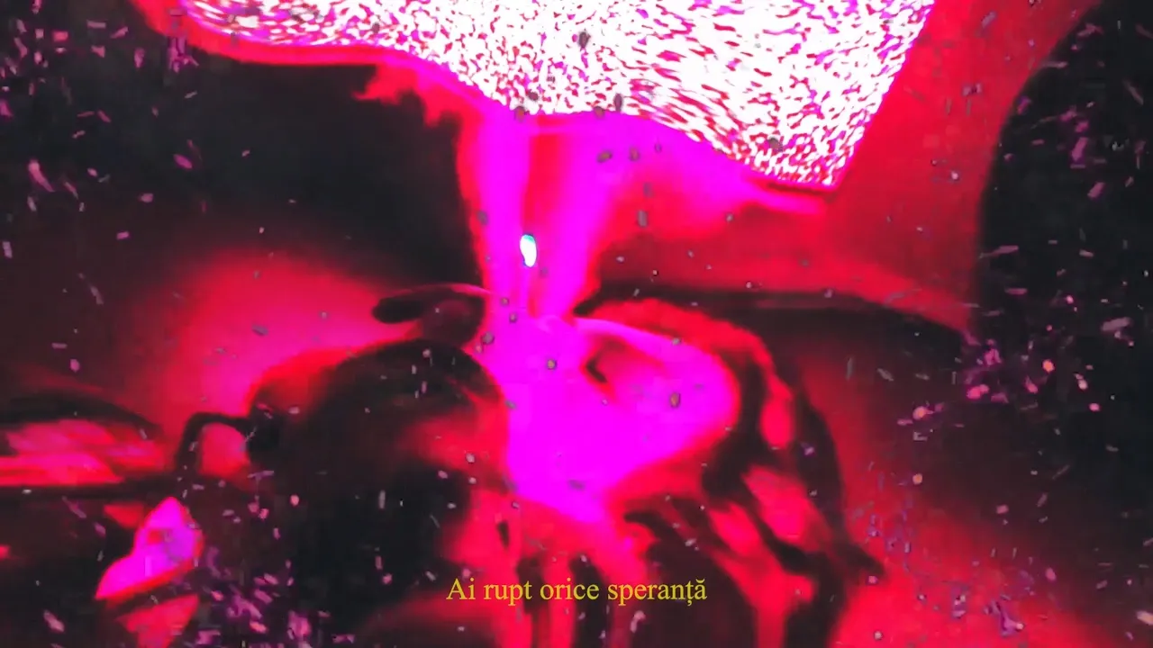 palboy - sad (Original Radio Edit)