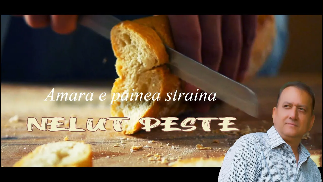 Nelut Peste - Amara e painea straina (Originala 2022)