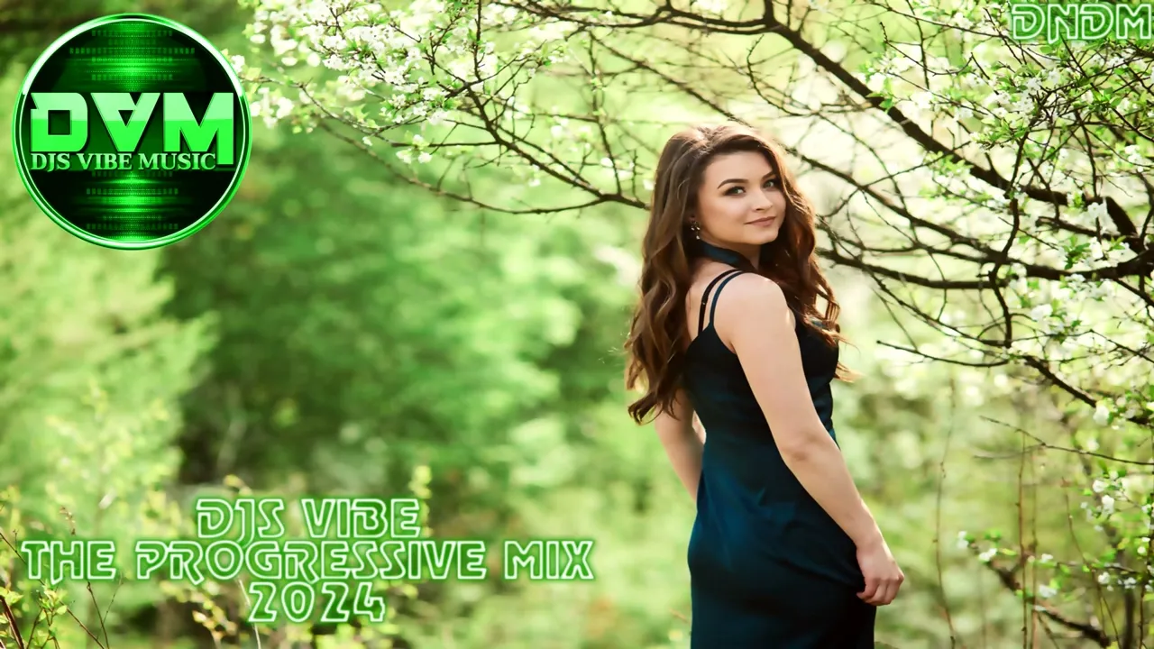 Djs Vibe - The Progressive Mix 2024