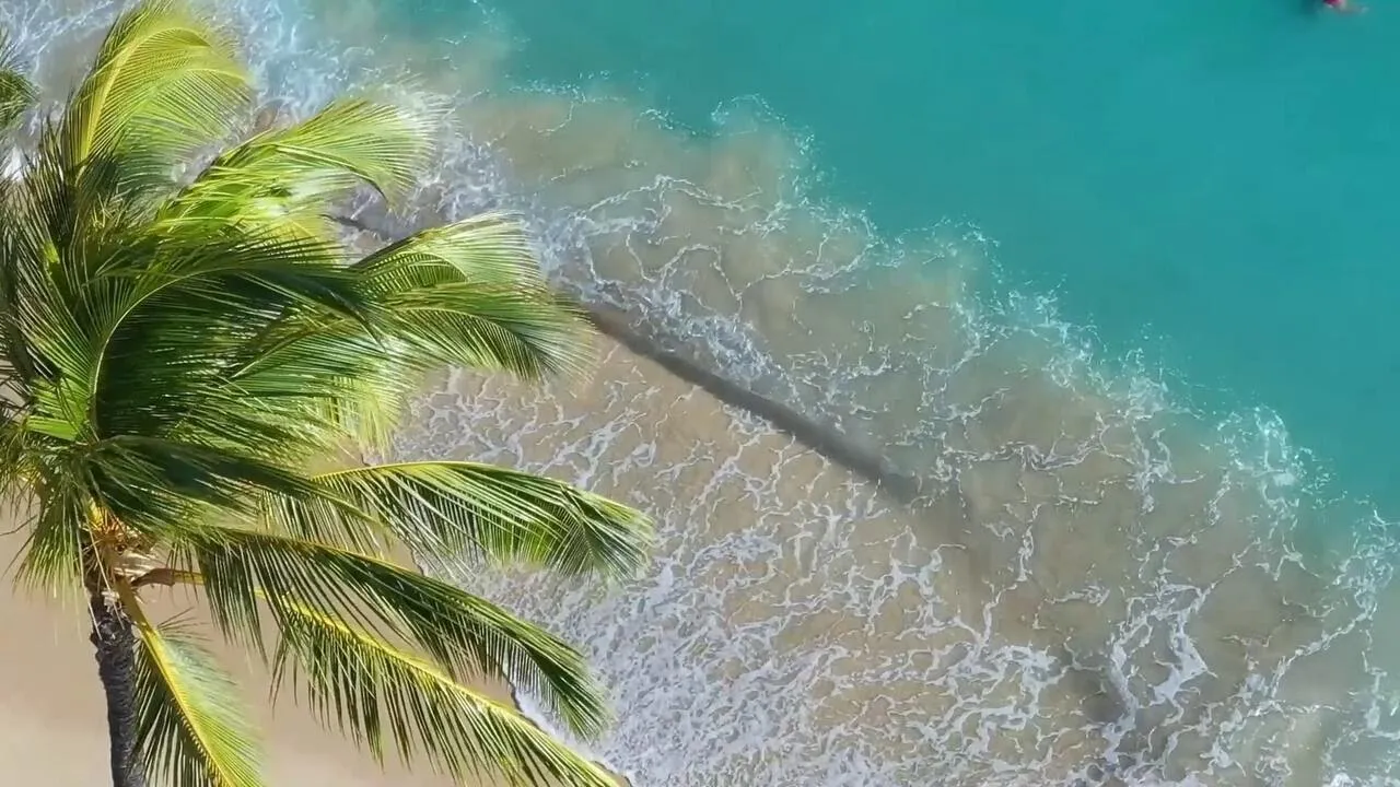 Alama x Click - Marea Neagra (Dj Go! Beach Party)