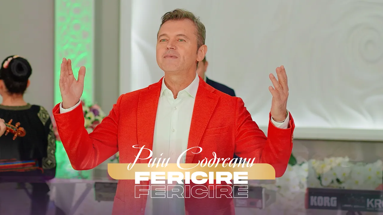 Puiu Codreanu - Fericire, Fericire