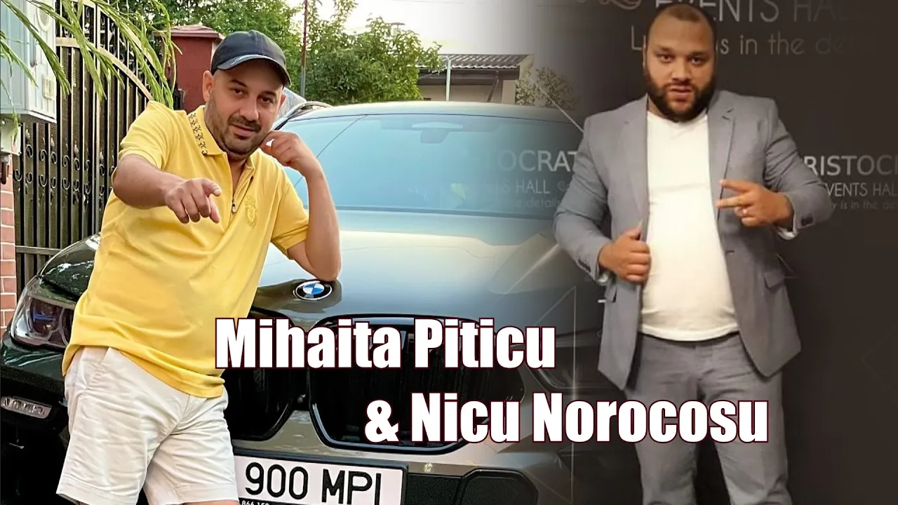 Mihaita Piticu & Nicu Norocosu - Ai profilul de sageata (Originala 2021)