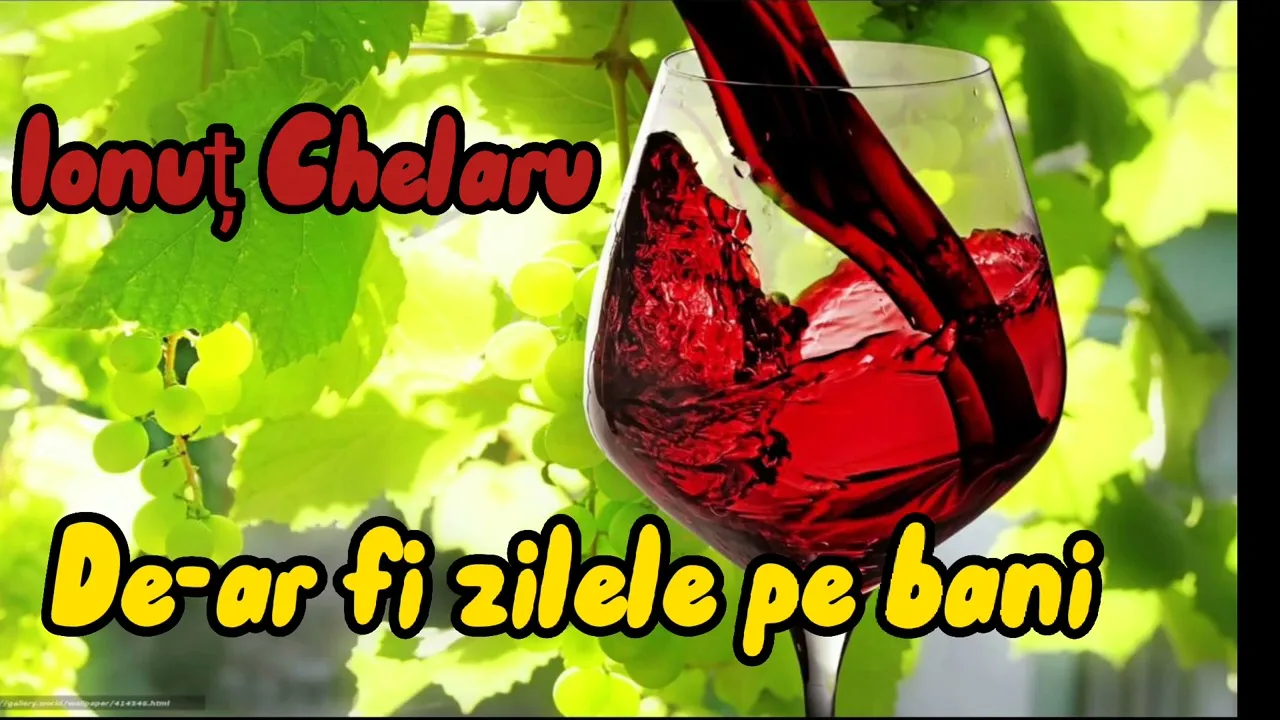 Ionut Chelaru - De-ar fi zilele pe bani