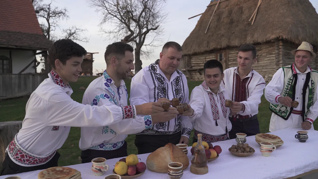 Gabriel Stoica - Cand eram copil in sat 2019