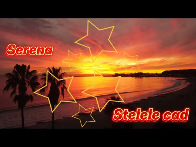 Serena - Stelele Cad (Cover Remix)