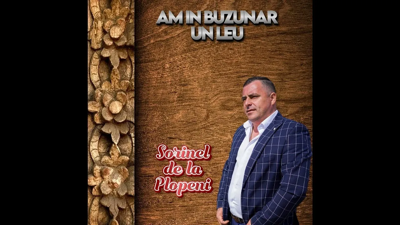 SORINEL DE LA PLOPENI - AM IN BUZUNAR UN LEU
