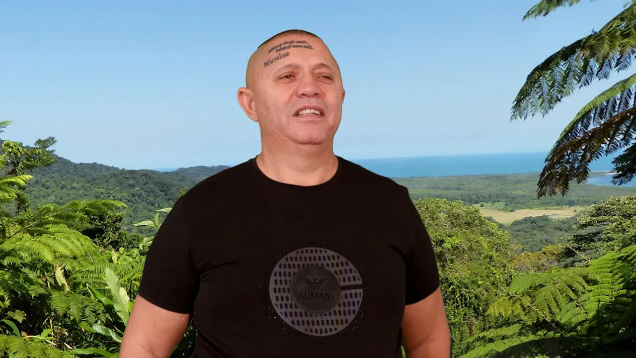 Nicolae Guta - Cand stau in bratele tale 2025