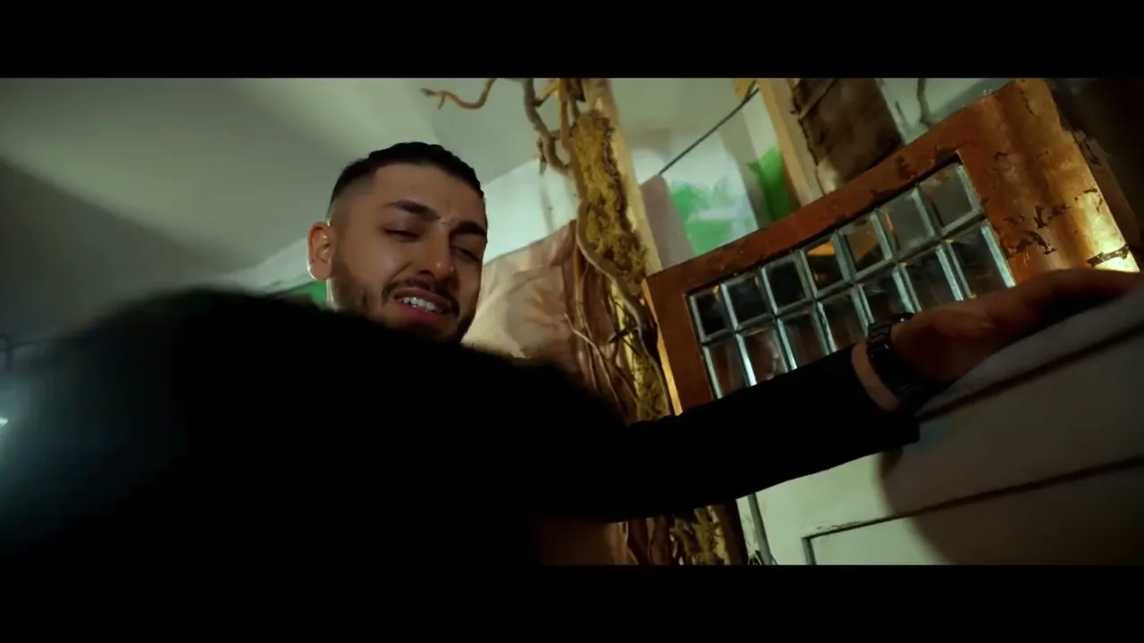 Toni de la Brasov - Nu sunt peste nici rechin (Video Original)