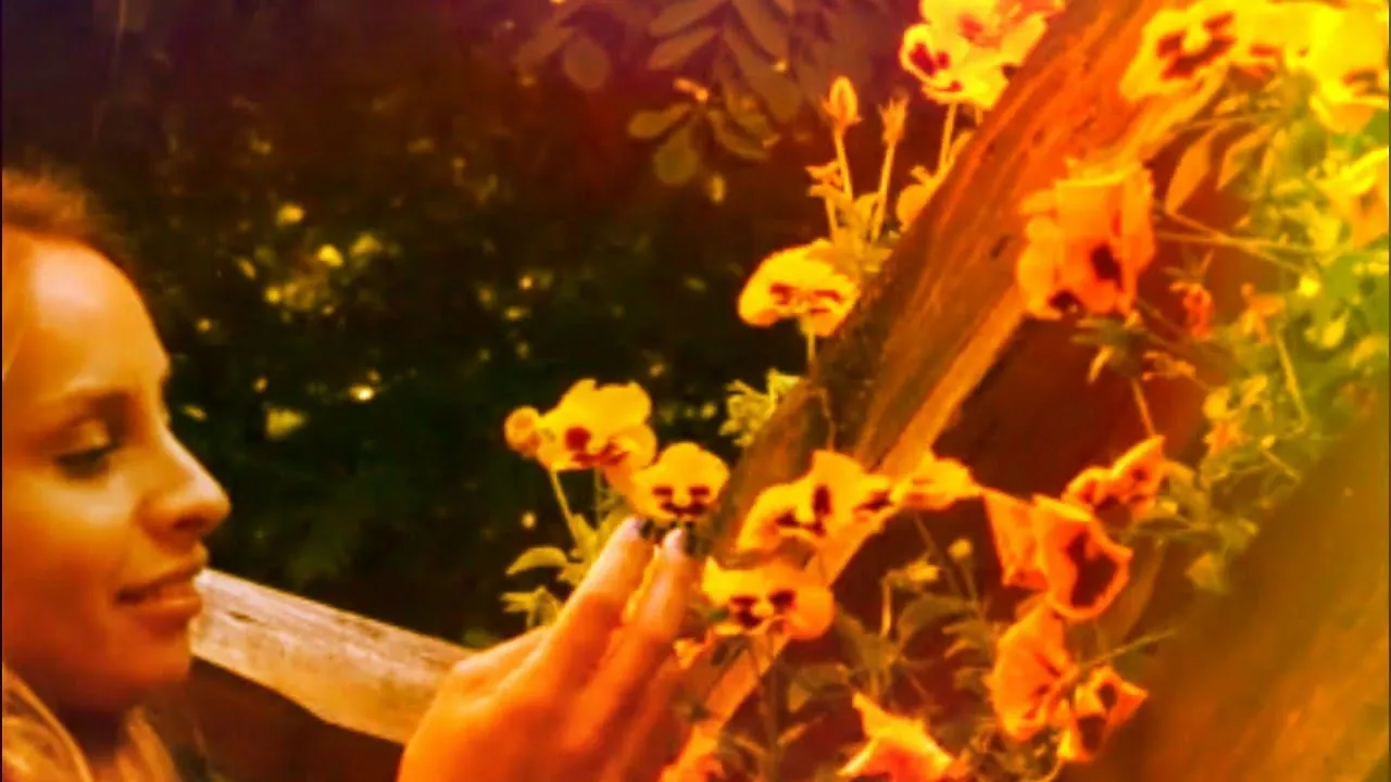 SORINEL DE LA PLOPENI - ARE MANDRA FUSTA SCURTA 2019