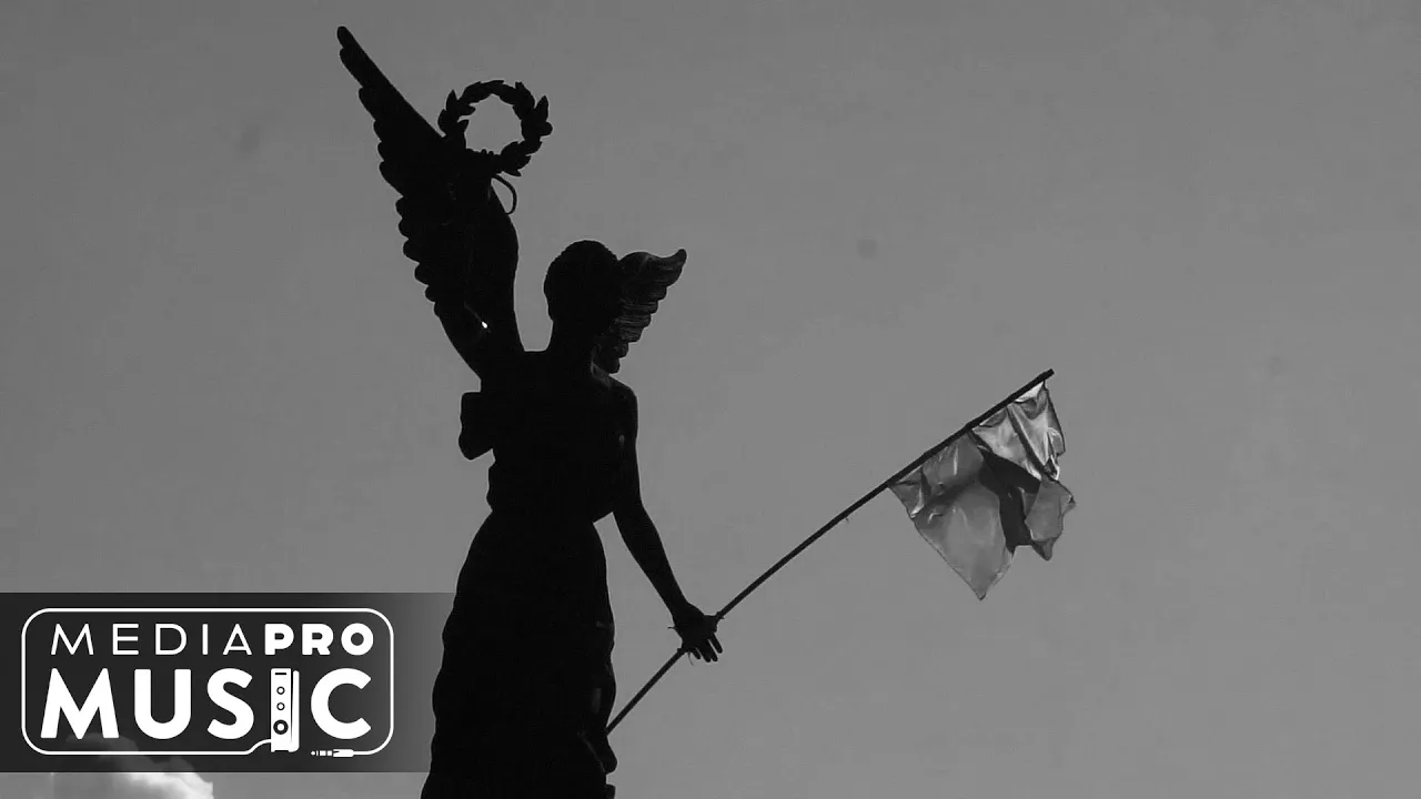 IRIS x Nelu Dumitrescu - Flori de plumb (Original Radio Edit)