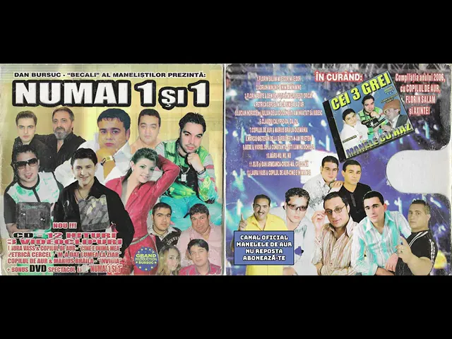 Florin Salam - Mi-e Dor, Mi-e Dor de Privirea Ta