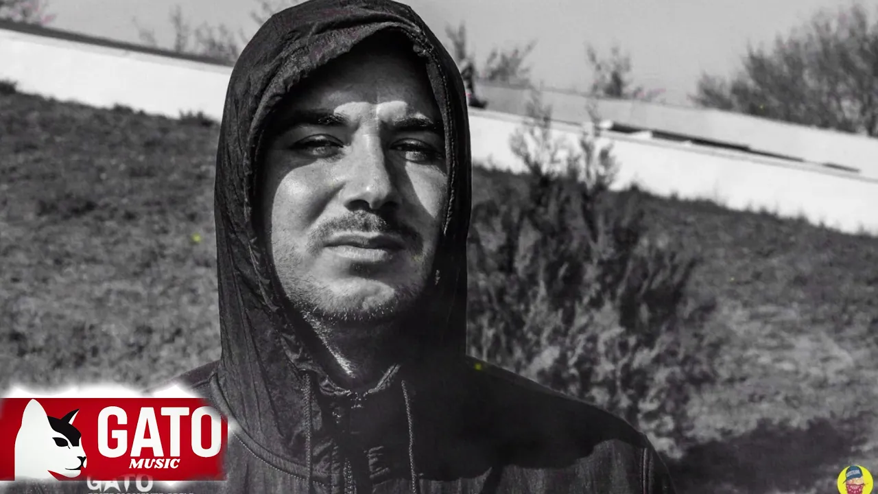 GATO - PESTE MOMENTE GRELE (Original Radio Edit)