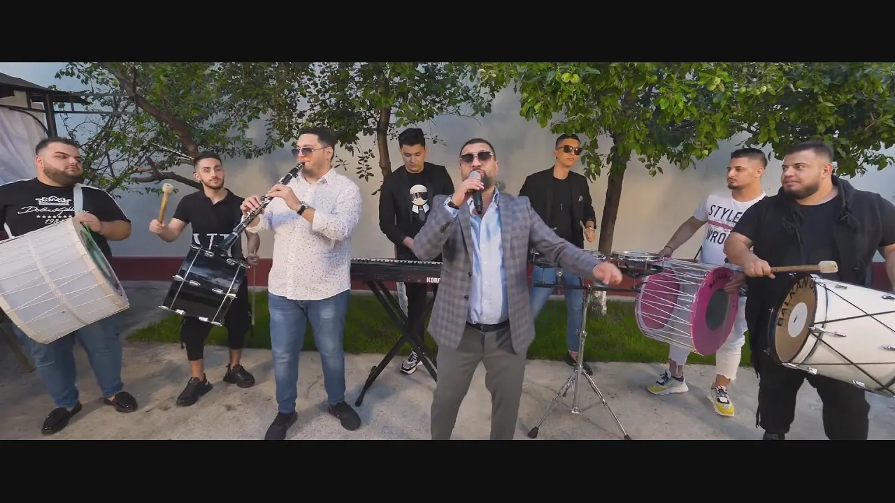 Leo de Vis - Perfecta mea (Originala 2020)