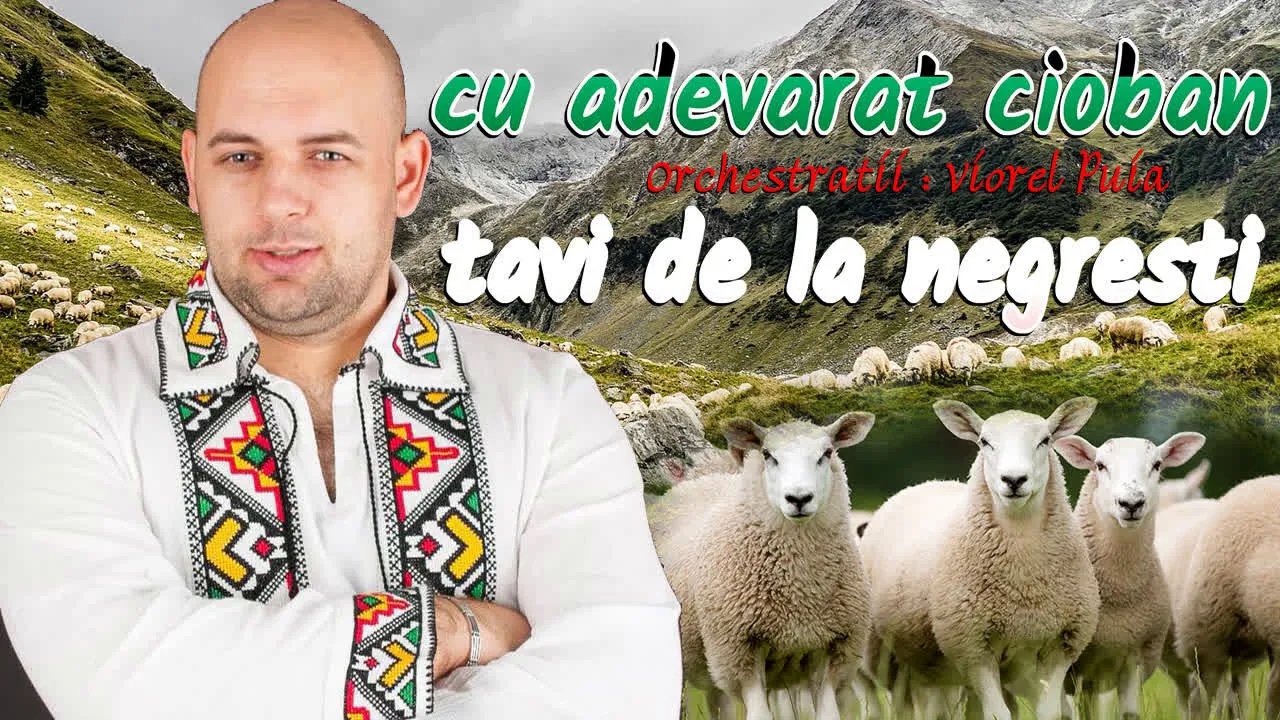 TAVI DE LA NEGRESTI - Cu adevarat cioban 2021