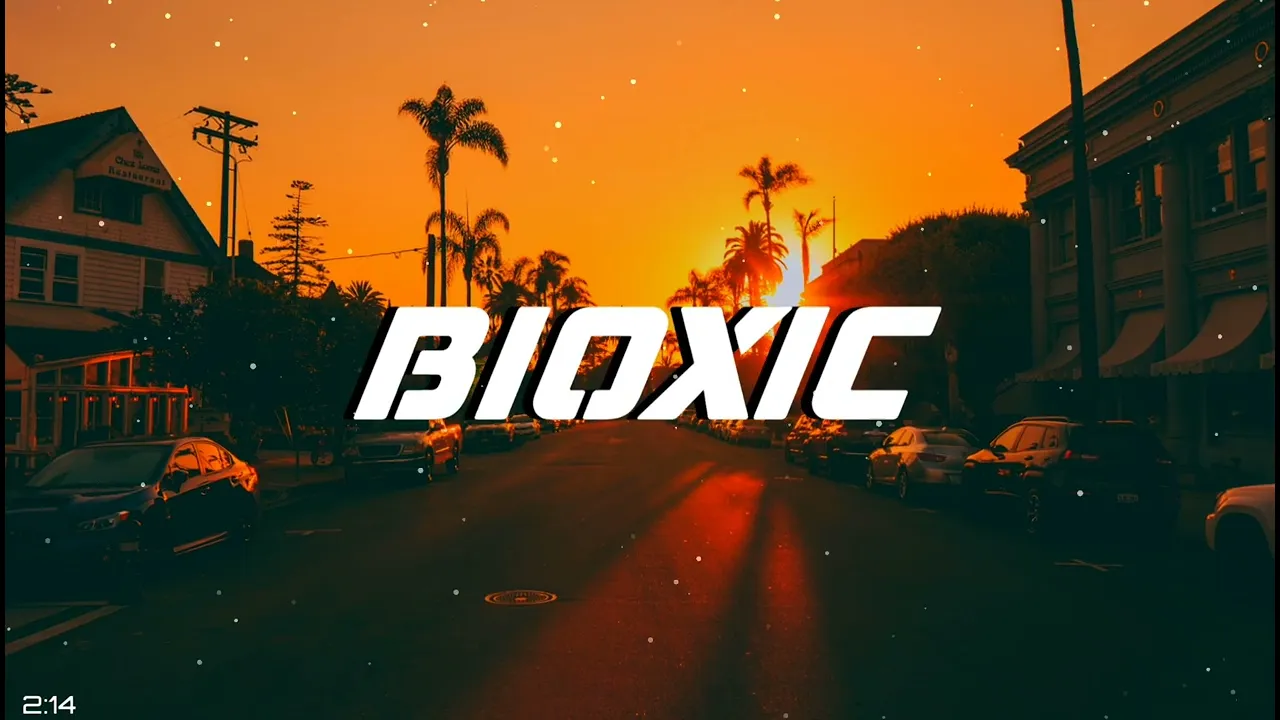 Nicoleta Guta - Dragostea nu are nici o lege (Bioxic Remix)