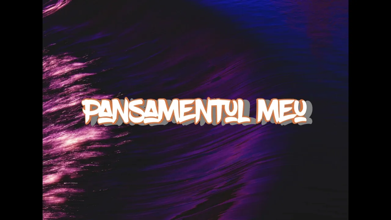 F. Purice - Pansamentul meu (Originala 2022)