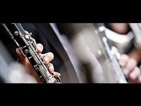 Sorinel de la Plopeni 2019 Hora la acordeon si clarinet 2019