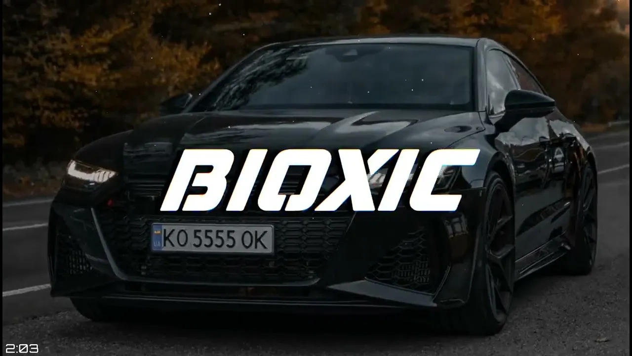 Nicolae Guta - Opera de arta (BioxicRemix)