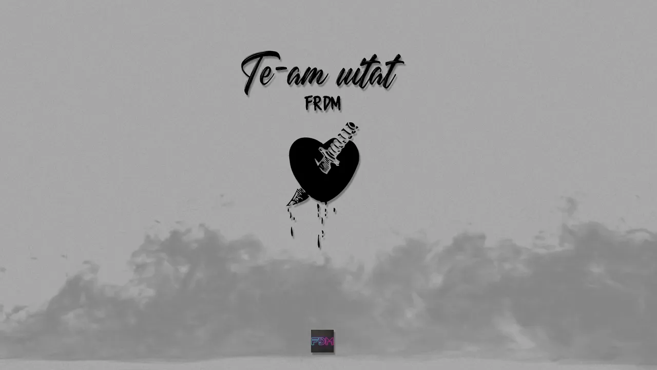 FRDM - Te-am uitat (Original Radio Edit)