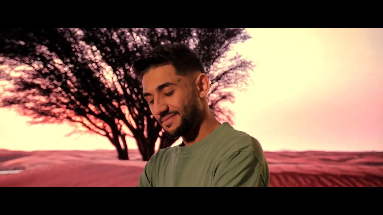 Nikolas Sax - Lasa-ma in desert