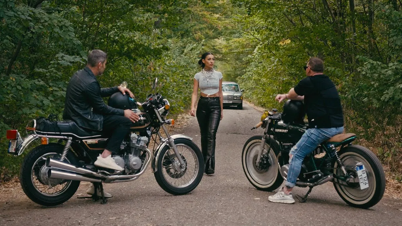 DJ Project x Alina Eremia - Privirea Ta (Video Original)