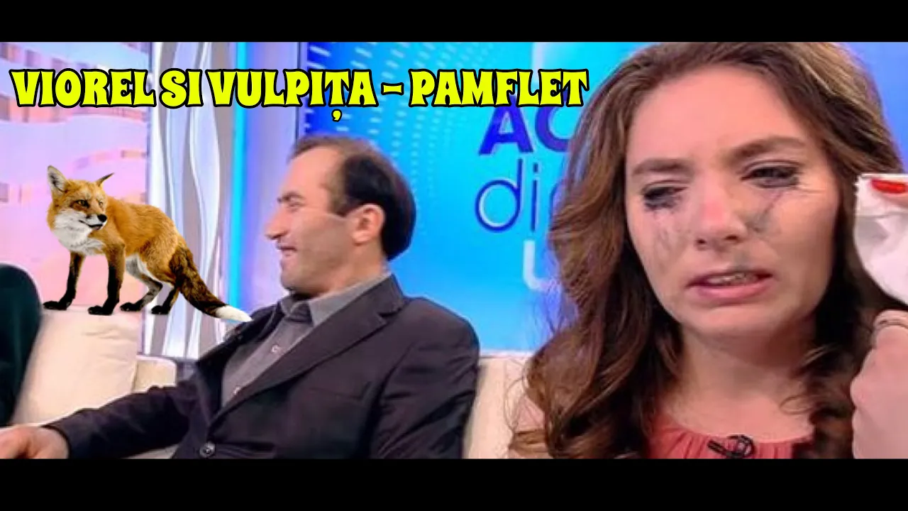Viorel si Vulpita - Pamflet! (Original Radio Edit)