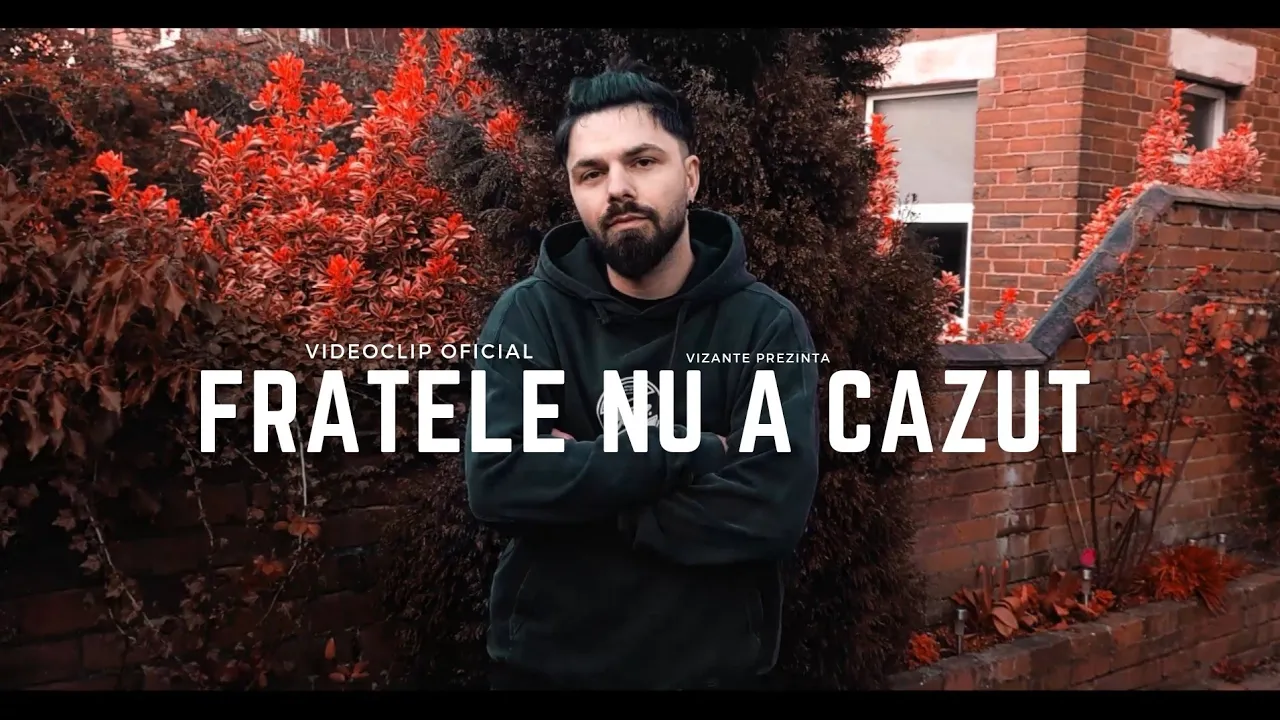 Vizante - Fratele nu a cazut, fratele a reusit! (Video Original)