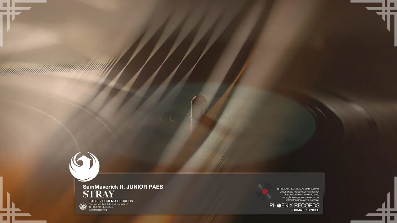 SamMaverick Feat. Junior Paes - Stray