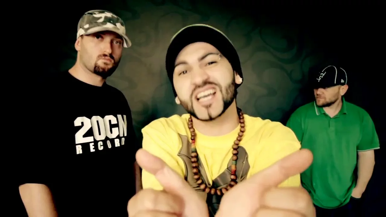 Parazitii feat Mr. Levy - Arde (Original Radio Edit)