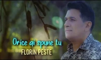 Florin Peste - Orice ai spune tu