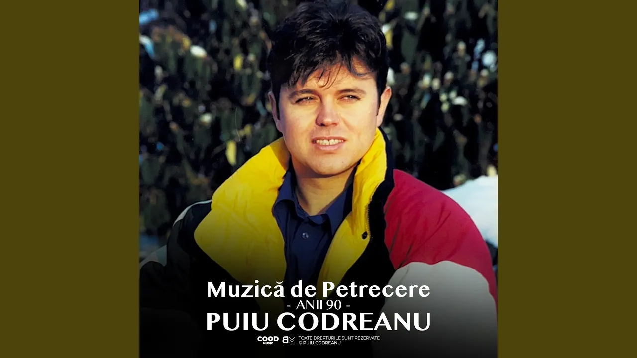 Puiu Codreanu - Doamne de as putea