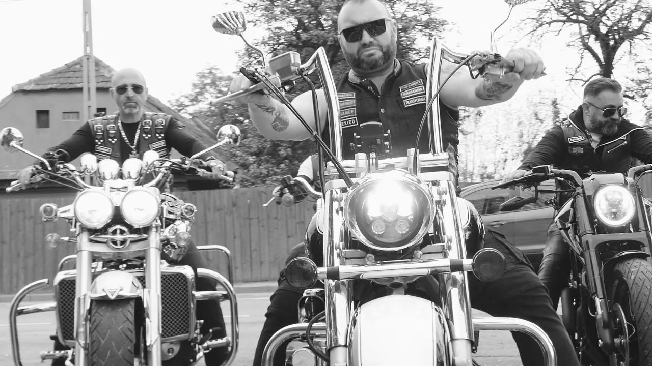 Bibanu - Alb-negru Freestyle