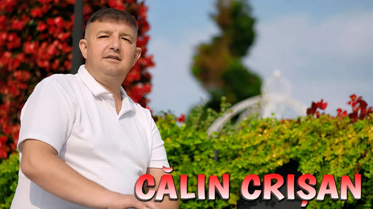 Calin Crisan - Viata ce nebuna esti
