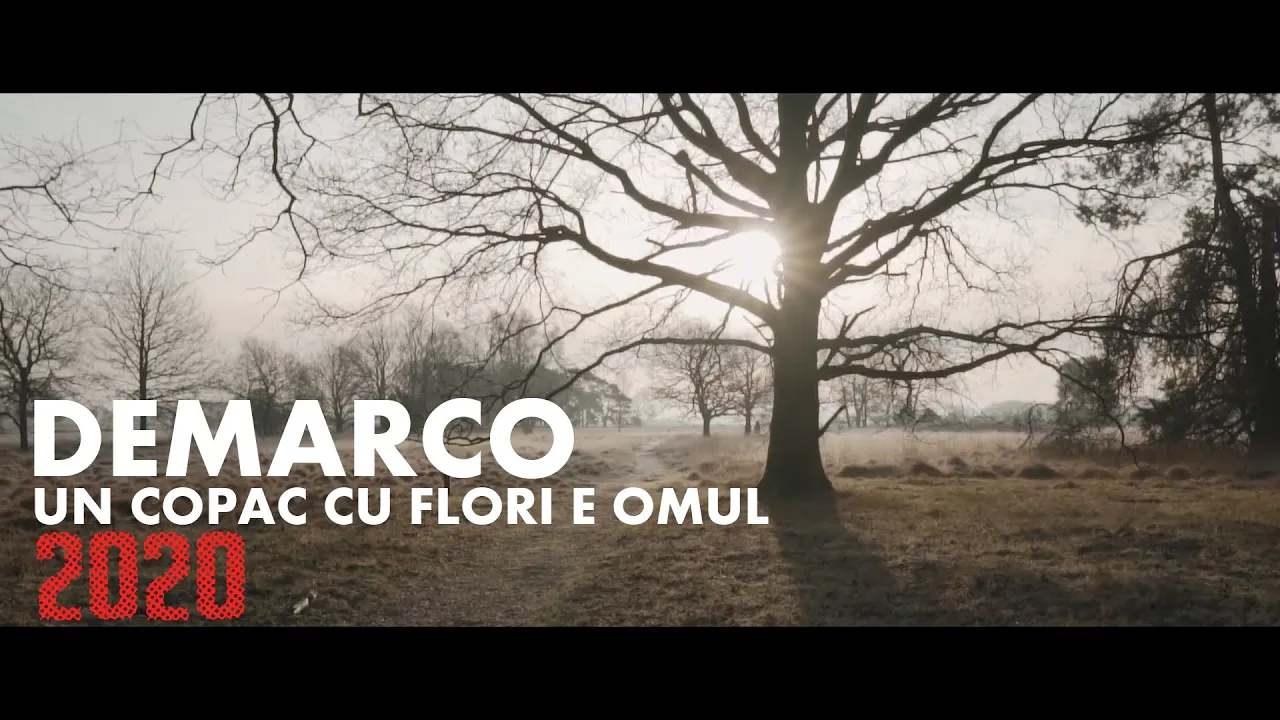 DEMARCO - Un copac cu flori e omul (Originala 2020)