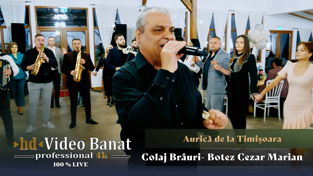 Aurica de la Timisoara - Colaj Brauri