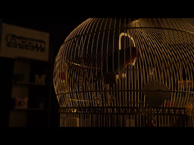 DOC - PDA (feat. Nane)