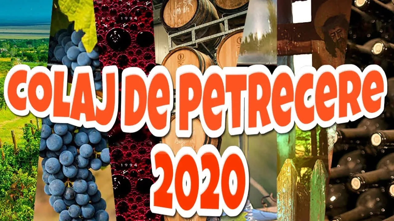 Muzica Populara 2020 de Petrecere Colaj Muzica de Petrecere 2020 (Melodii de Chef si Voie Buna)