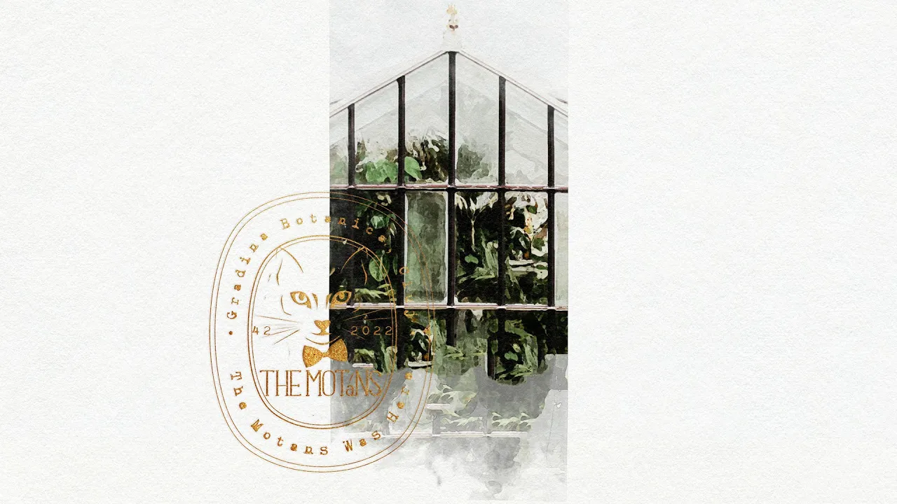 The Motans - Pe Bune (Live 2022)