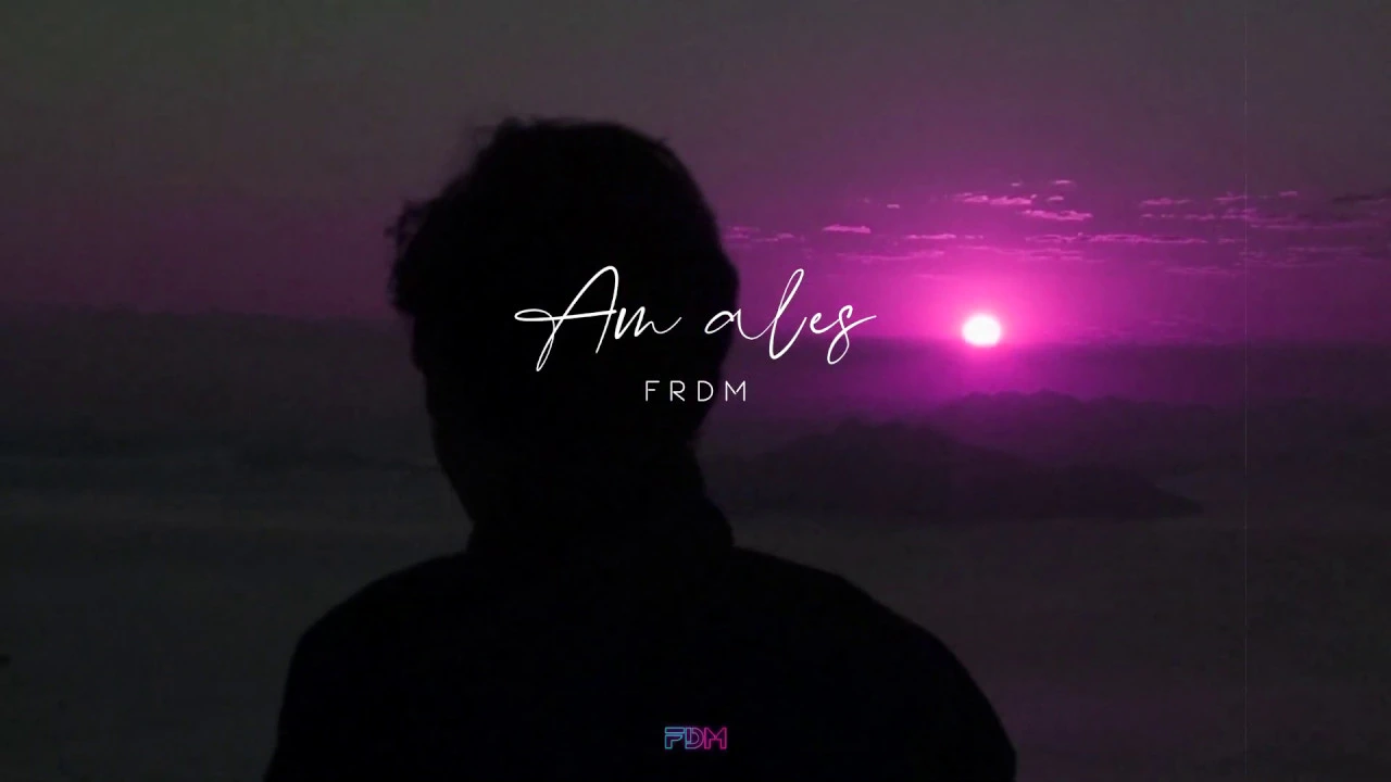 FRDM - Am ales! (Original Radio Edit)