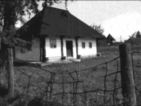 CEZARICA DIN BUZAU - S-a trezit maicuta-n zori