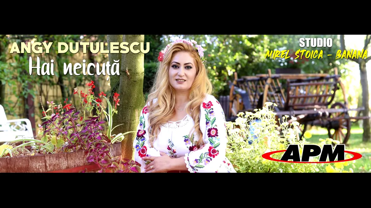 ANGY DUTULESCU - HAI NEICUTA 2020