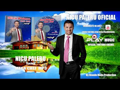 Nicu Paleru - Imi fac carciuma la poarta