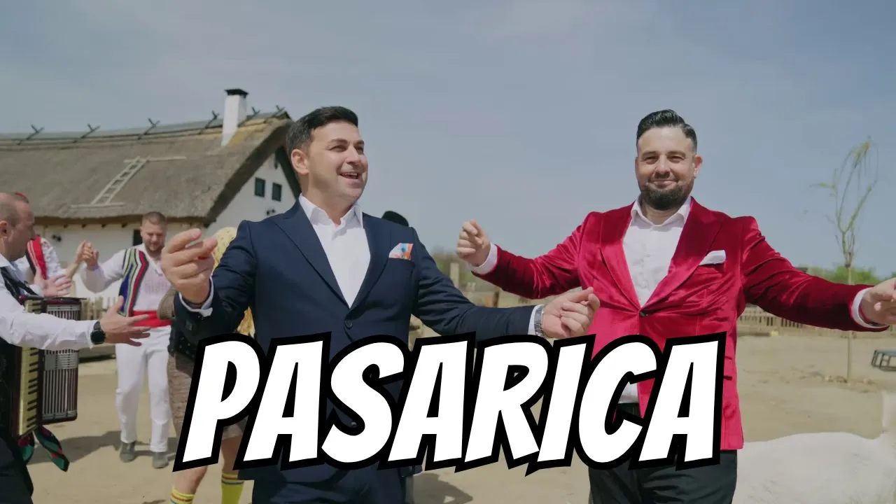 Baboiash & Cristi Proca - Pasarica